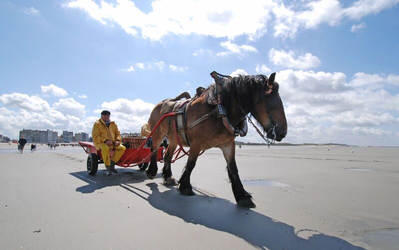 c_gemeente_koksijde_garnaalvissers_te_paard_dirk_van_hove_3 (Aangepast).jpg