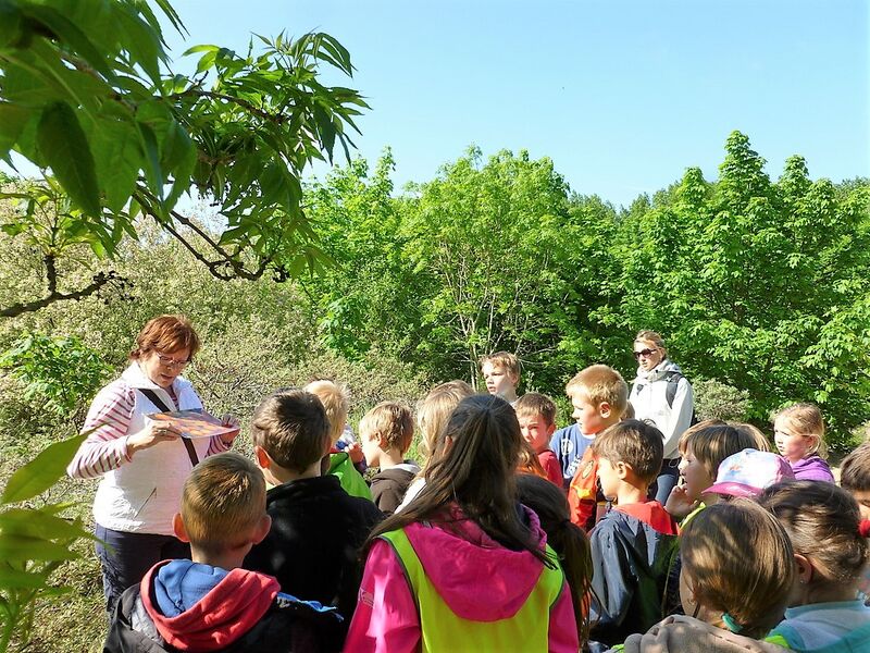 Gids duinen.jpg