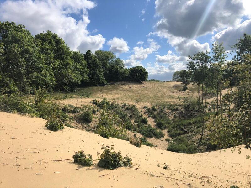 Duinen (Aangepast).jpg