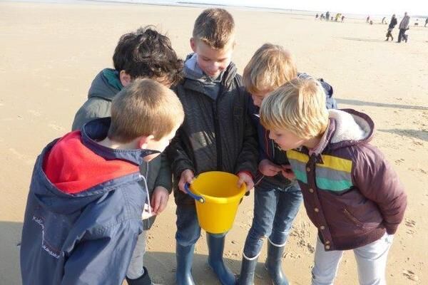Kids strand.jpg
